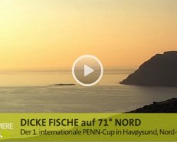 Dicke Fische auf 71° Nord Dicke Fische auf 71° Nord